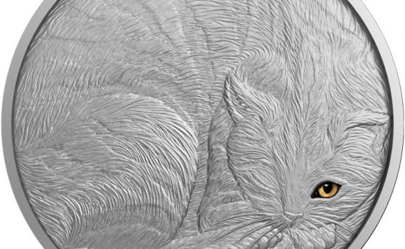 2016 Cat Eye Coin From Animal Series Reverse