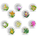 Singapore 2016 Silver $1 Splendour of Native Orchids Coin Set