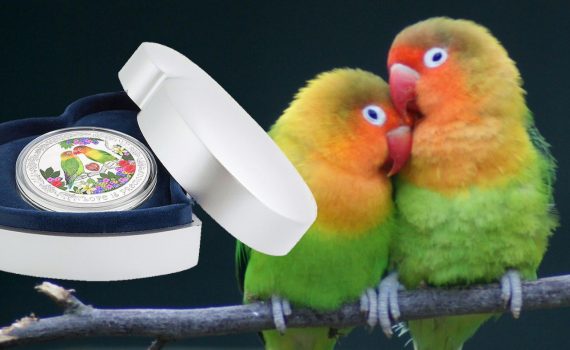 2017 Love is Precious 1oz Silver Coin Splash Image