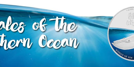 Pitcairn Islands 2016 Whales of the Southern Ocean 1oz Silver Coin Splash Image