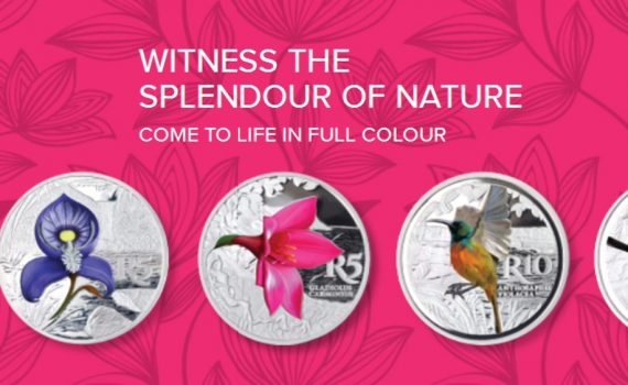 SOuth African 2016 Coloured Crowns Splash Image