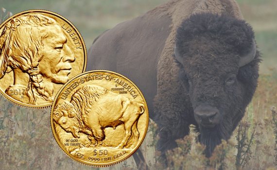 USA 2017 Gold Buffalo Coin splash image